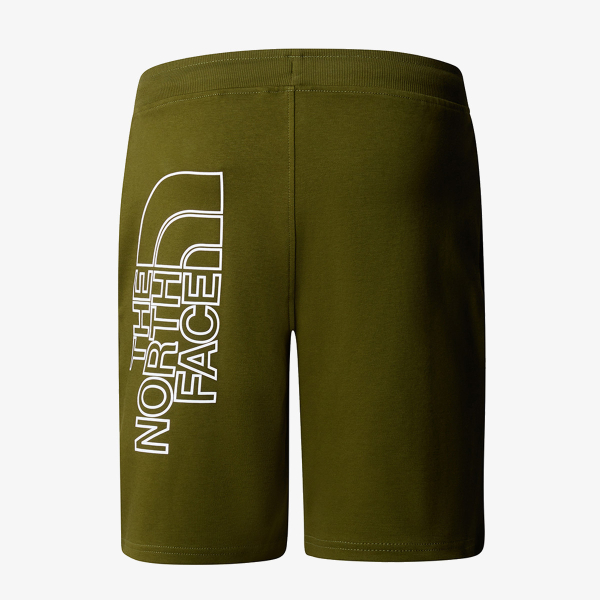 The North Face M GRAPHIC SHORT LIGHT-EU 