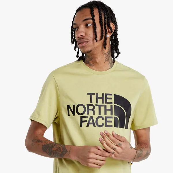 THE NORTH FACE M STANDARD SS TEE WEEPING WILLOW 